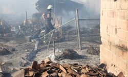 Edirne'de köyde çıkan yangında 80 küçükbaş hayvan telef oldu