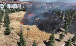 Edirne'de tarihi tabyanın bulunduğu alanda çıkan yangın söndürüldü