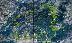 Ekipler, Bursa Harmancık'taki orman yangınının sınırlarını tuttu