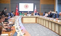 Engellilerin Sorunlarını Araştırma Komisyonu, Aile ve Sosyal Hizmetler ile Sağlık Bakanlığı yetkililerini dinledi