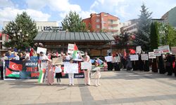 Erzurum'da sağlık çalışanları 88 haftadır Gazze için yürüyor