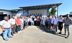 Fethiye'de arılar için kırsal alanlara içme suyu noktası kurulacak