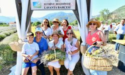 Fethiye'de lavanta bahçesinde hasat yapıldı