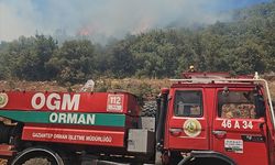 Gaziantep'te çıkan orman yangını kontrol altına alındı