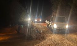 Gazipaşa'daki orman yangını nedeniyle Mersin Anamur'da iki mahalle boşaltıldı
