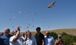 Gümüşhane'de 400 keklik doğaya bırakıldı