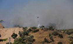 GÜNCELLEME 2 - Aydın'da ağaçlık alanda çıkan yangın kontrol altına alındı