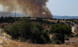 GÜNCELLEME 2 - Balıkesir'de çıkan orman yangınına müdahale ediliyor