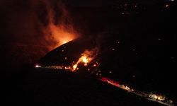 GÜNCELLEME 2 - Hatay'daki orman yangınına müdahale sürüyor