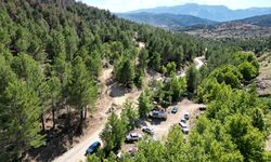 GÜNCELLEME 2 - Isparta'daki orman yangını kontrol altına alındı