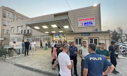 GÜNCELLEME 2 - Şanlıurfa'da hastanede bıçaklı saldırıya uğrayan başhekim yardımcısı ve güvenlik görevlisi yaralandı