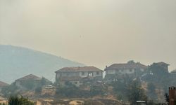 GÜNCELLEME 2 - Uşak'ta çıkan orman yangınına müdahale ediliyor