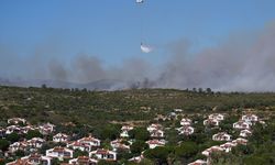 GÜNCELLEME 4 - Çeşme'de ziraat alanında başlayıp ormana sıçrayan yangına müdahale ediliyor