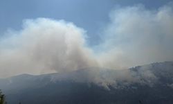 GÜNCELLEME 4 - Sakarya'dan Bilecik tarafına sıçrayan orman yangınına müdahale sürüyor