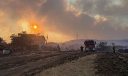 GÜNCELLEME 4 - Tekirdağ'da anız yangını ormana sıçradı