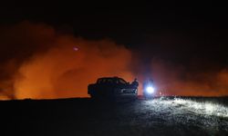 GÜNCELLEME 5 - Bursa'da Gürsu ve Kestel arasındaki ormanlık alanda çıkan yangına müdahale ediliyor