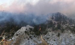 GÜNCELLEME - Antalya'nın Alanya ilçesindeki orman yangını kontrol altında, Gazipaşa'daki müdahale sürüyor