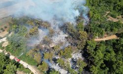 GÜNCELLEME - Antalya'nın Manavgat ilçesinde çıkan orman yangını kontrol altına alındı