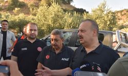 GÜNCELLEME - Aydın'da ağaçlık alanda çıkan yangına müdahale ediliyor
