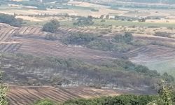 GÜNCELLEME - Balıkesir'de arazide çıkan yangın kontrol altına alındı