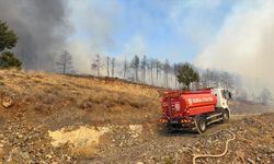GÜNCELLEME - Bursa'da çıkan orman yangınına müdahale ediliyor