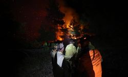 GÜNCELLEME - Bursa'da Gürsu ve Kestel arasındaki ormanlık alanda çıkan yangına müdahale sürüyor