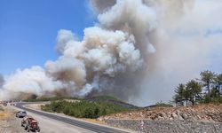 GÜNCELLEME - Bursa'nın Orhaneli ilçesindeki orman yangınına müdahale sürüyor