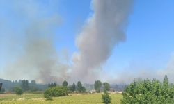 GÜNCELLEME - Edirne'de çıkan orman yangını söndürüldü