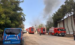 GÜNCELLEME - Gaziantep'te halı fabrikasında çıkan yangın kontrol altına alındı