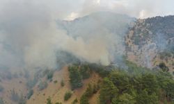 GÜNCELLEME - Kahramanmaraş'taki orman yangınına müdahale 2. gününde sürüyor