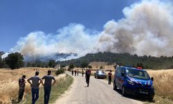 GÜNCELLEME - Kütahya'da ormanlık alanda çıkan yangına müdahale ediliyor