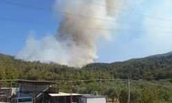 GÜNCELLEME - Manisa'da orman yangını çıktı