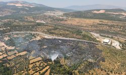 GÜNCELLEME - Muğla'da tarım arazisinde çıkan yangın kontrol altına alındı