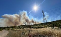 GÜNCELLEME - Silivri'de ormanlık alanda çıkan yangına müdahale ediliyor