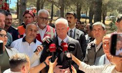 GÜNCELLEME- Sultangazi'de ormanlık alanda çıkan yangın kontrol altına alındı