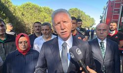 GÜNCELLEME - Sultangazi'de ormanlık alanda çıkan yangın söndürüldü