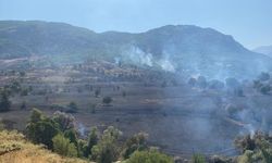 GÜNCELLEME - Tunceli'de çıkan örtü yangını söndürüldü