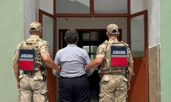Hakkari'de 8 yıl 9 ay hapis cezası bulunan hükümlü yakalandı