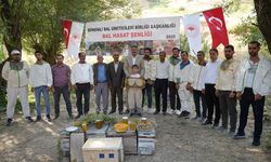 Hakkari'de 'Bal Hasat Şenliği' düzenlendi