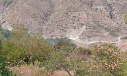 Hatay Samandağ'da makilik alanda çıkan yangın söndürüldü