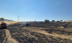 Isparta'da ekin tarlasında çıkan yangın söndürüldü
