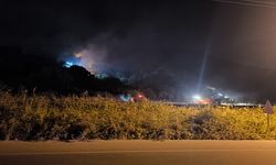 İzmir Dikili'de makilikte çıkan yangına müdahale ediliyor