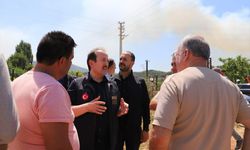 İzmir ve Bilecik'in orman yangınından etkilenen ilçeleri 'Genel Hayata Etkili Afet Bölgesi' ilan edildi