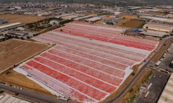 İzmir'de kavurucu sıcakta kuru domates mesaisi başladı