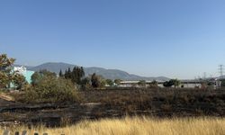 İzmir'de otluk alanda çıkan yangın kontrol altına alındı