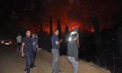 İzmir'in Ödemiş ilçesinde ormanlık alanda çıkan yangına müdahale ediliyor