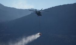 İzmir'in Seferihisar ve Menderes ilçelerindeki orman yangınlarına müdahale sürüyor