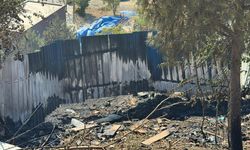 Kağıthane'de ağaçlık alanda çıkan yangın söndürüldü