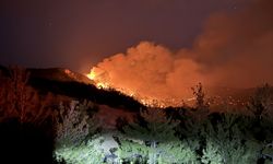 Kahramanmaraş'ın Onikişubat ilçesinde orman yangını çıktı