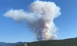 Karabük'te ormanlık alanda çıkan yangına müdahale ediliyor